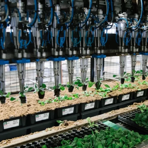 SMG-tecnology-feature