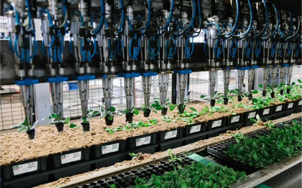 SMG-tecnology-feature